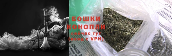 прущие грибы Нея