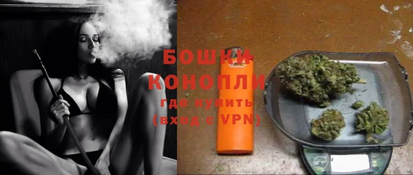 прущие грибы Нея