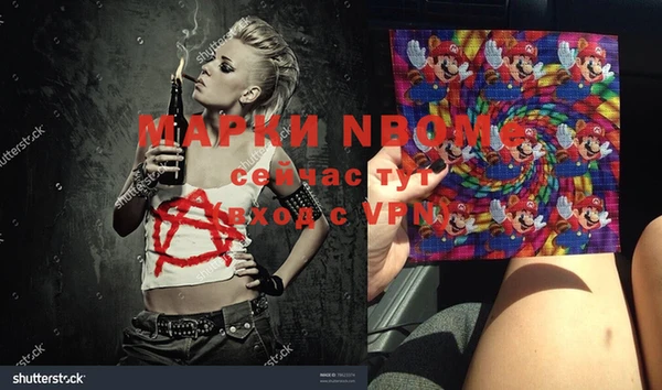 индика Нефтекумск