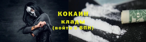 прущие грибы Нея