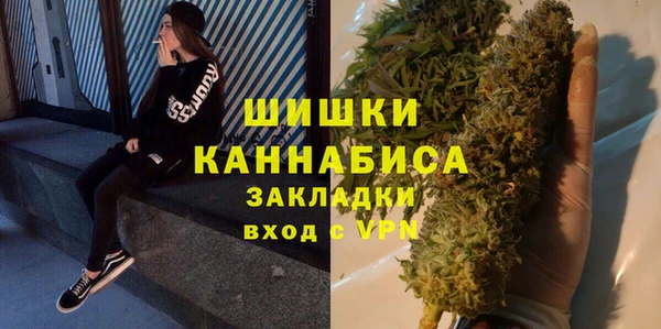 индика Нефтекумск