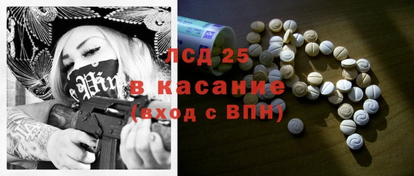 прущие грибы Нея