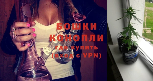 индика Нефтекумск
