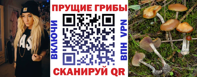 Псилоцибиновые грибы ЛСД  kraken tor  Барнаул  наркотики 