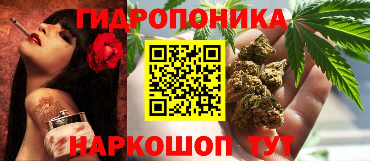 Канабис Amnesia  Бошки марихуана конопля  Вход с VPN  Барнаул  Каннабис VHQ  Каннабис планчик 
